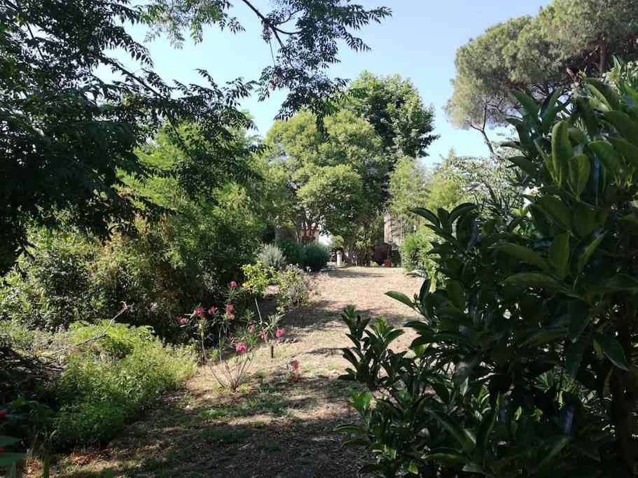 Appartamento Roma, Dış mekan fotoğraf